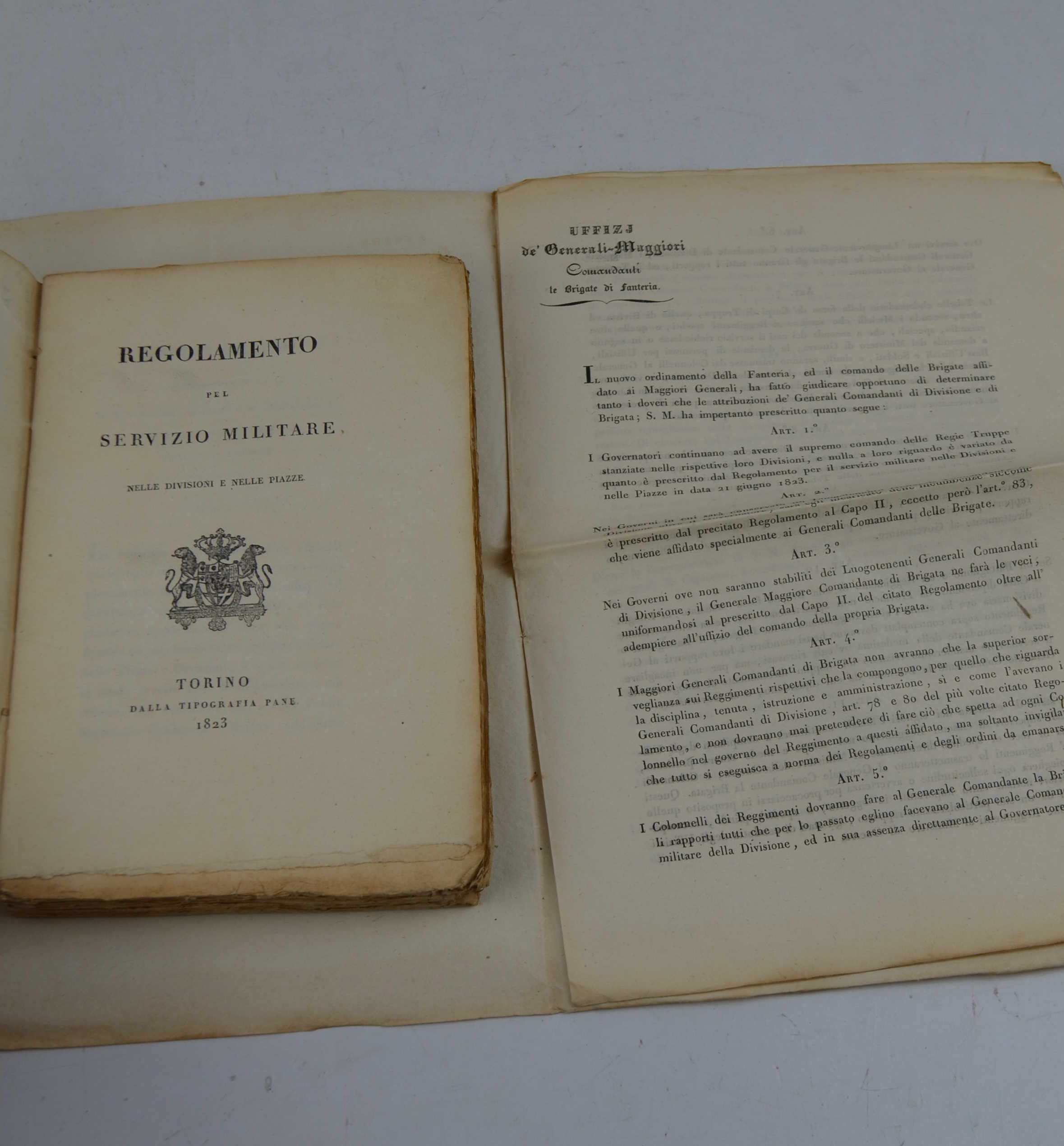 Regolamento pel servizio militare nelle divizioni e nelle piazze.