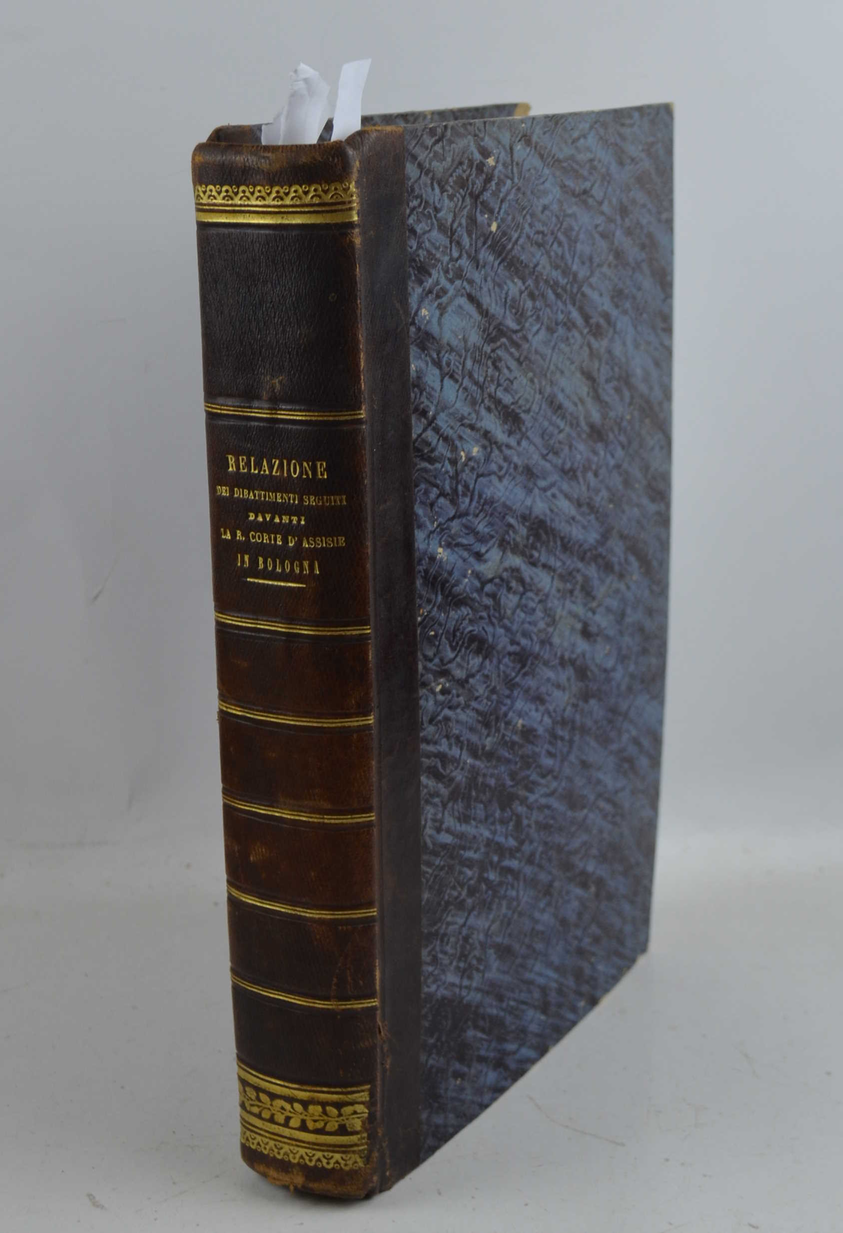 Relazione dei dibattimenti seguiti davanti la R. Corte d'Assise in …