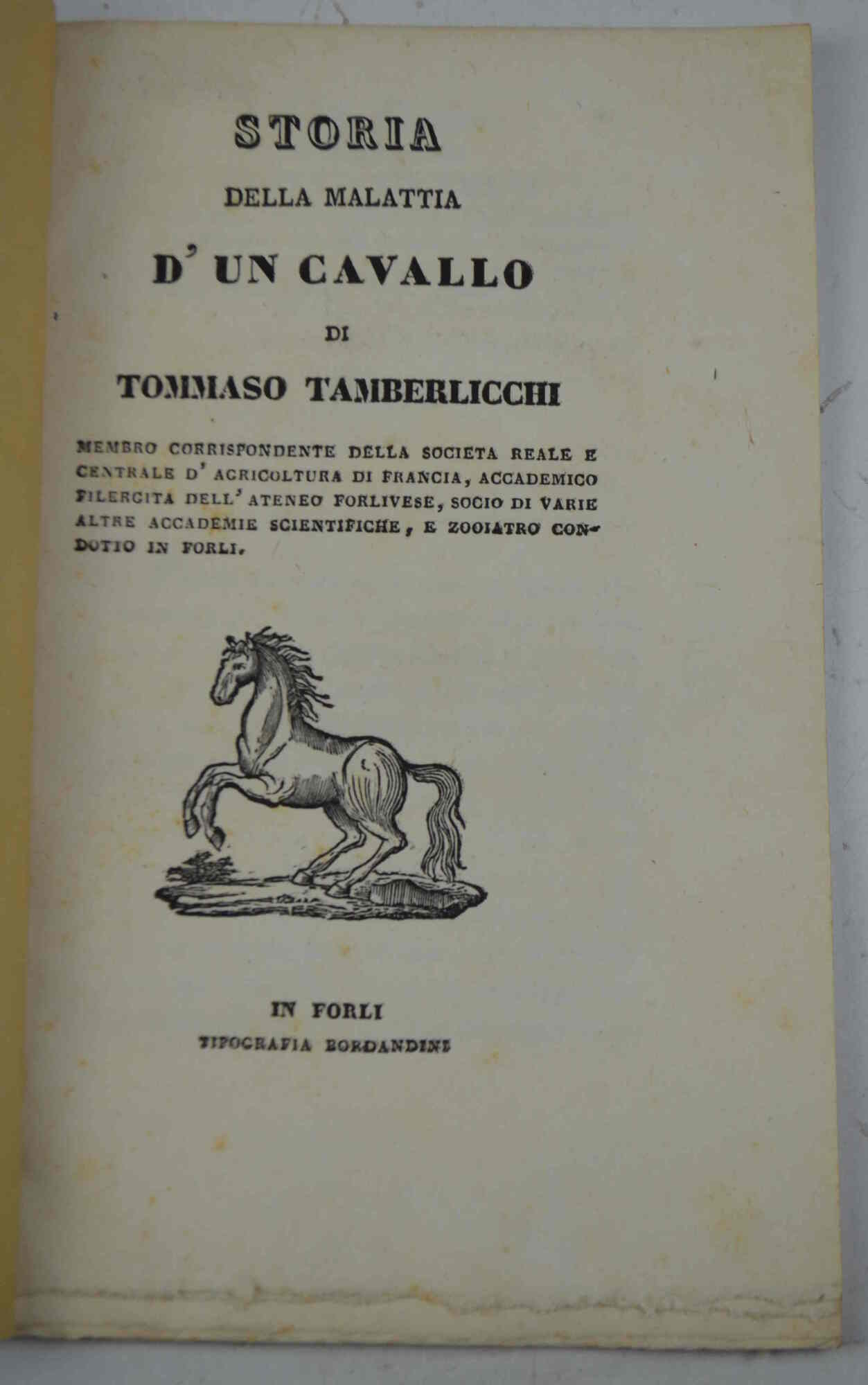 Storia della malattia d'un cavallo.
