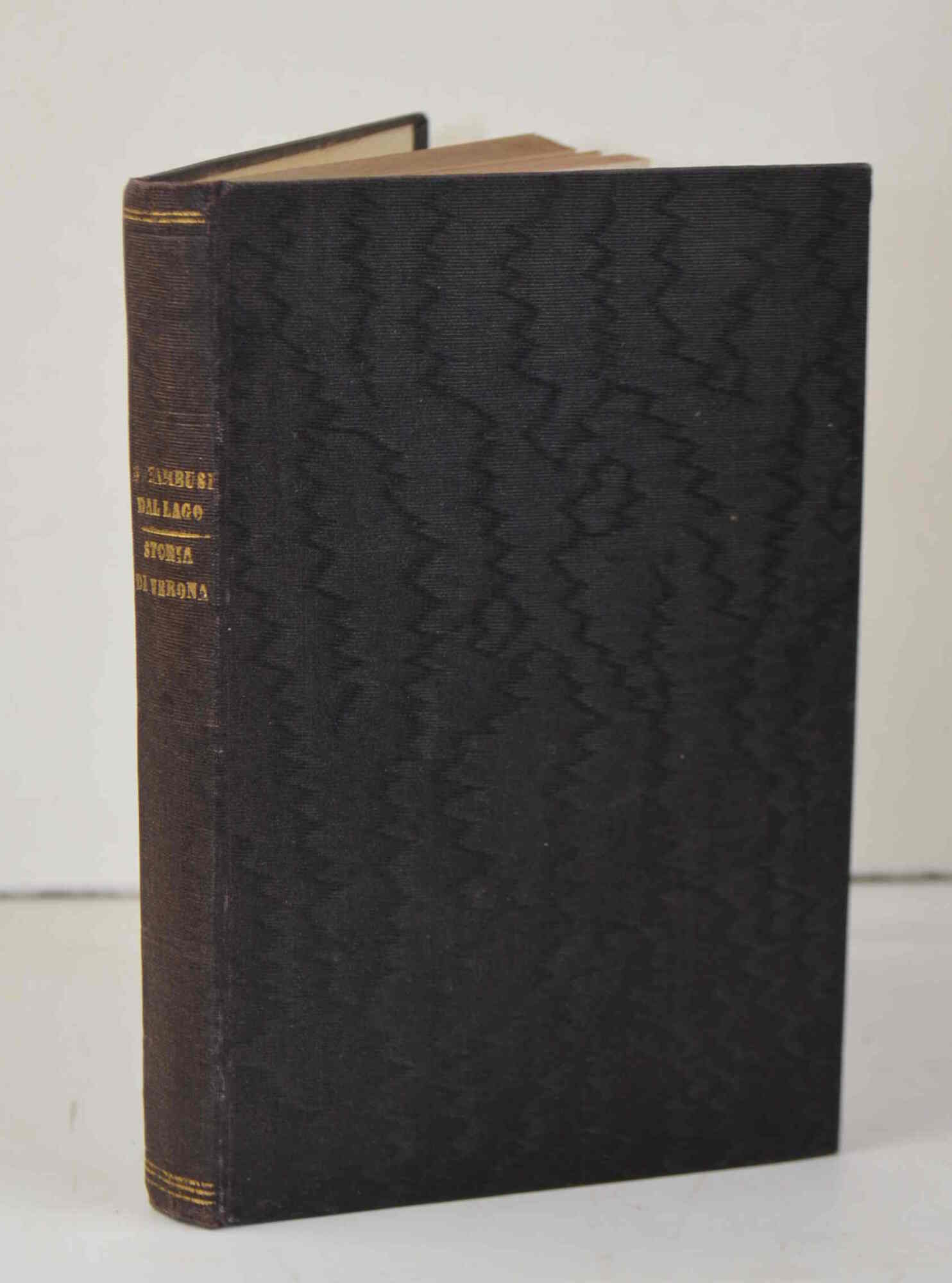 Storia di Verona narrata ai fanciulli.