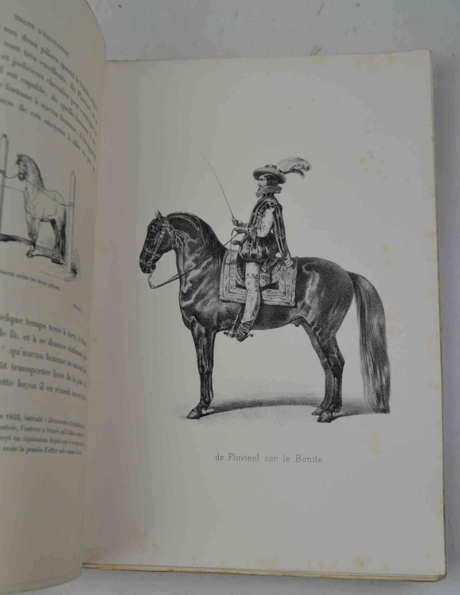 Traité d'équitation illustré... Cinquième édition.
