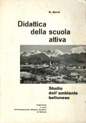 Studio dell'ambiente bellunese (didattica della scuola attiva)