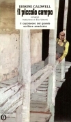 Il piccolo campo