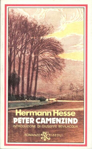 Peter Camenzind