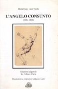 L'angelo consunto. (1989-1991)