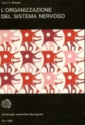 L'organizzazione del sistema nervoso