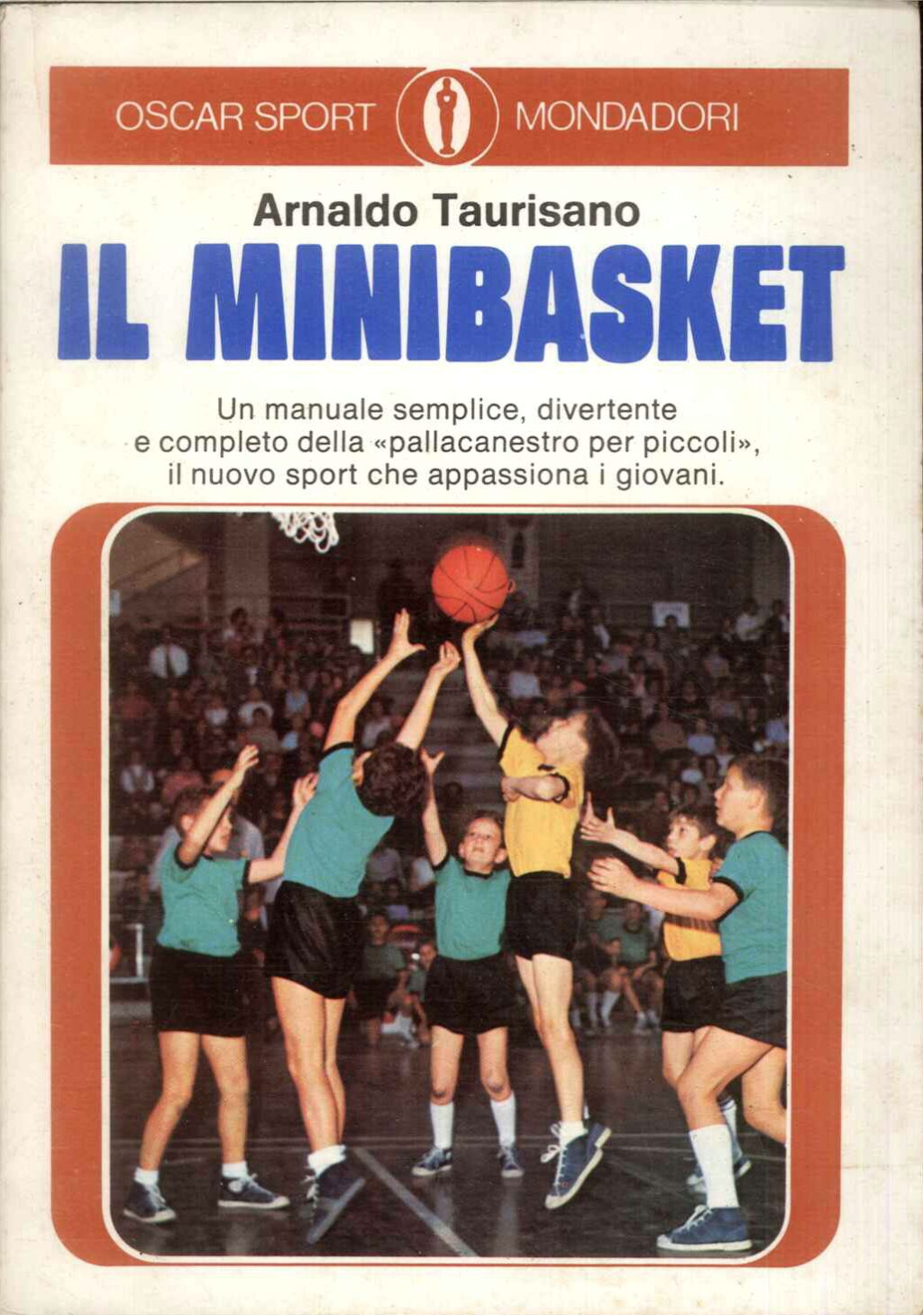 Il minibasket