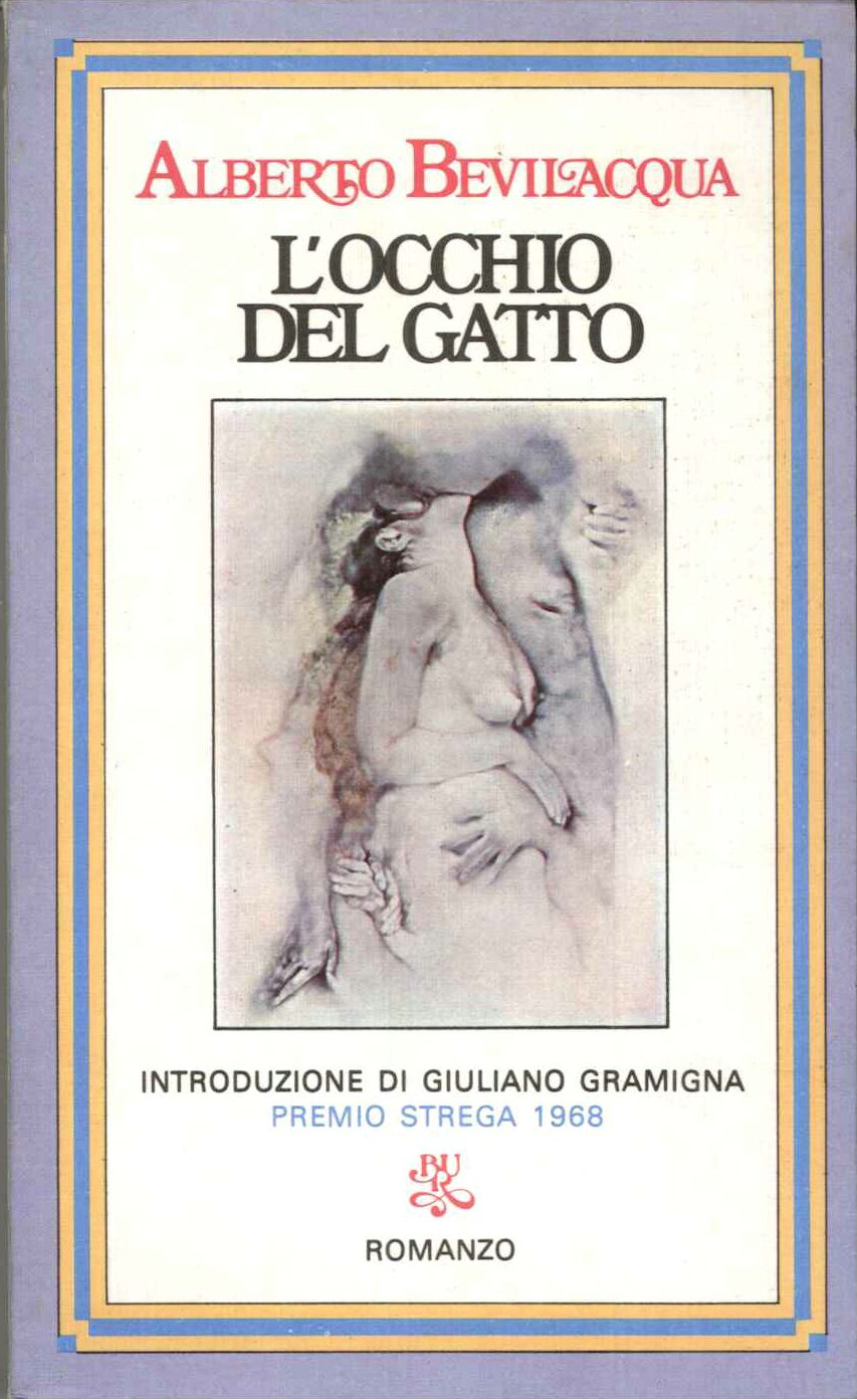 L'occhio del gatto