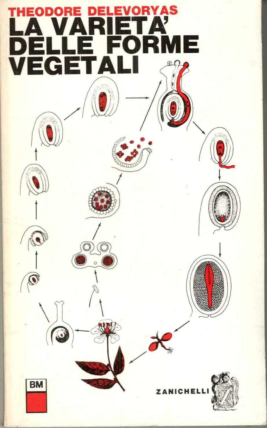 La varietà delle forme vegetali