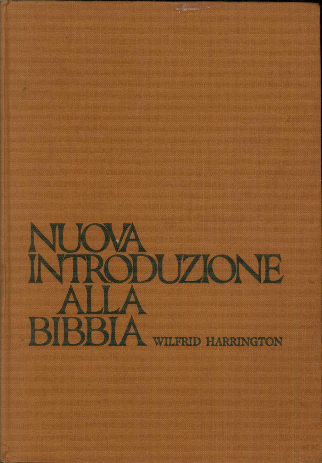 Nuova introduzione allla Bibbia