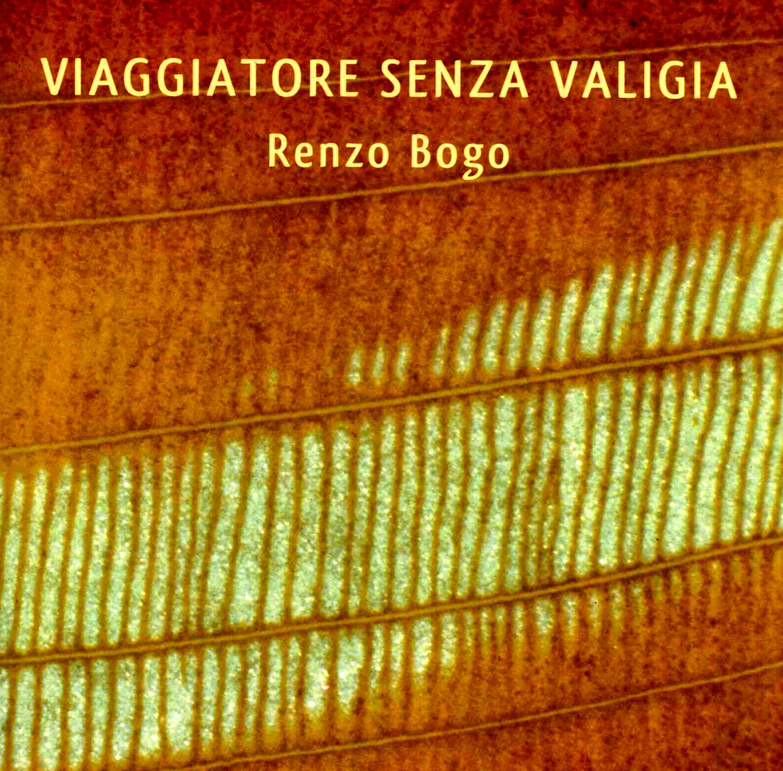 Viaggiatore senza valigia