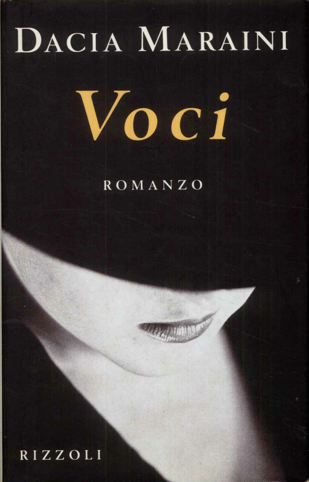 Voci. Romanzo