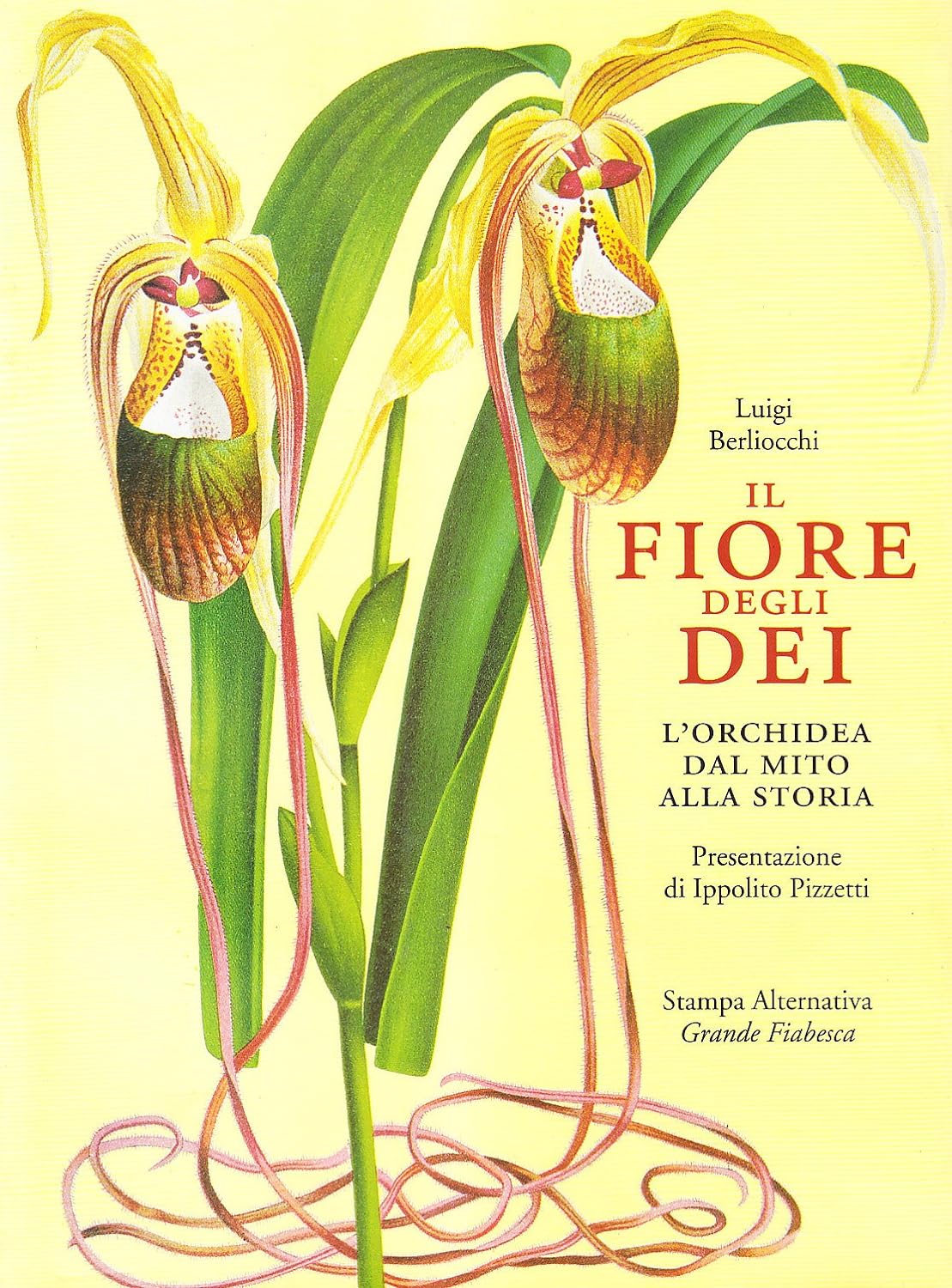 Il fiore degli dei. L'orchidea dal mito alla storia