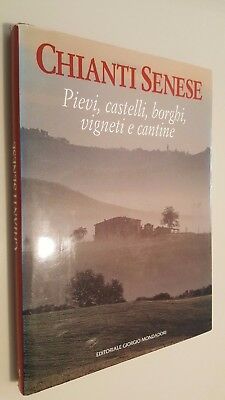 Chianti Senese Pievi, castelli, borghi, vigneti e cantine.
