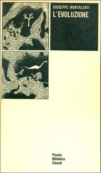 L'evoluzione.