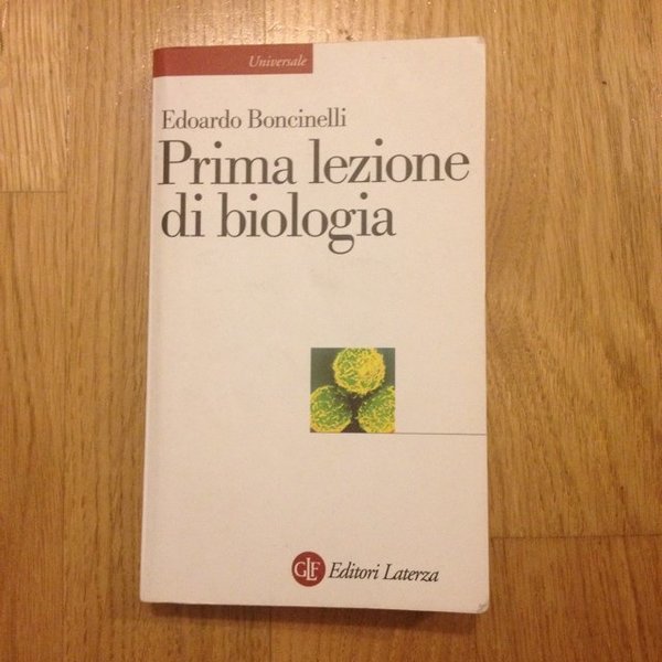Prima lezione di biologia.