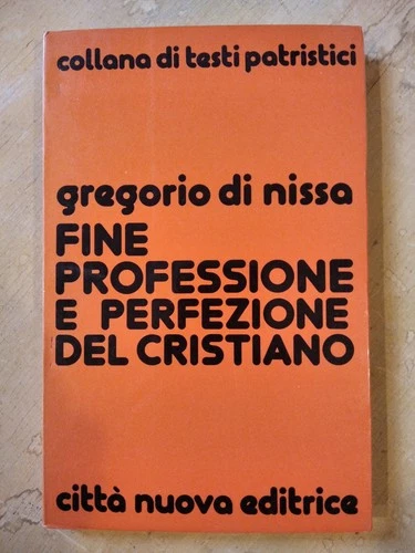 Fine professione e perfezione del cristiano