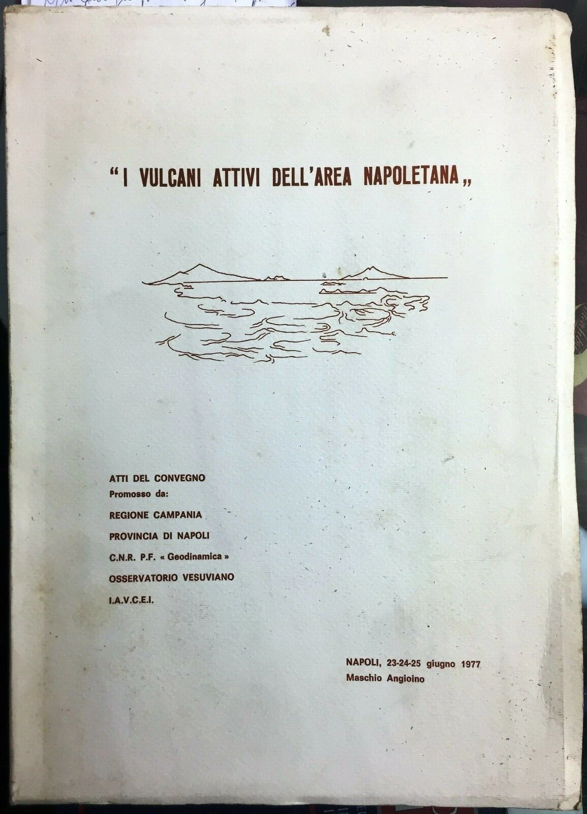 I vulcani attivi dell'area napoletana. Atti del Convegno, Napoli, 23-24-25 …