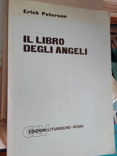 Il libro degli angeli