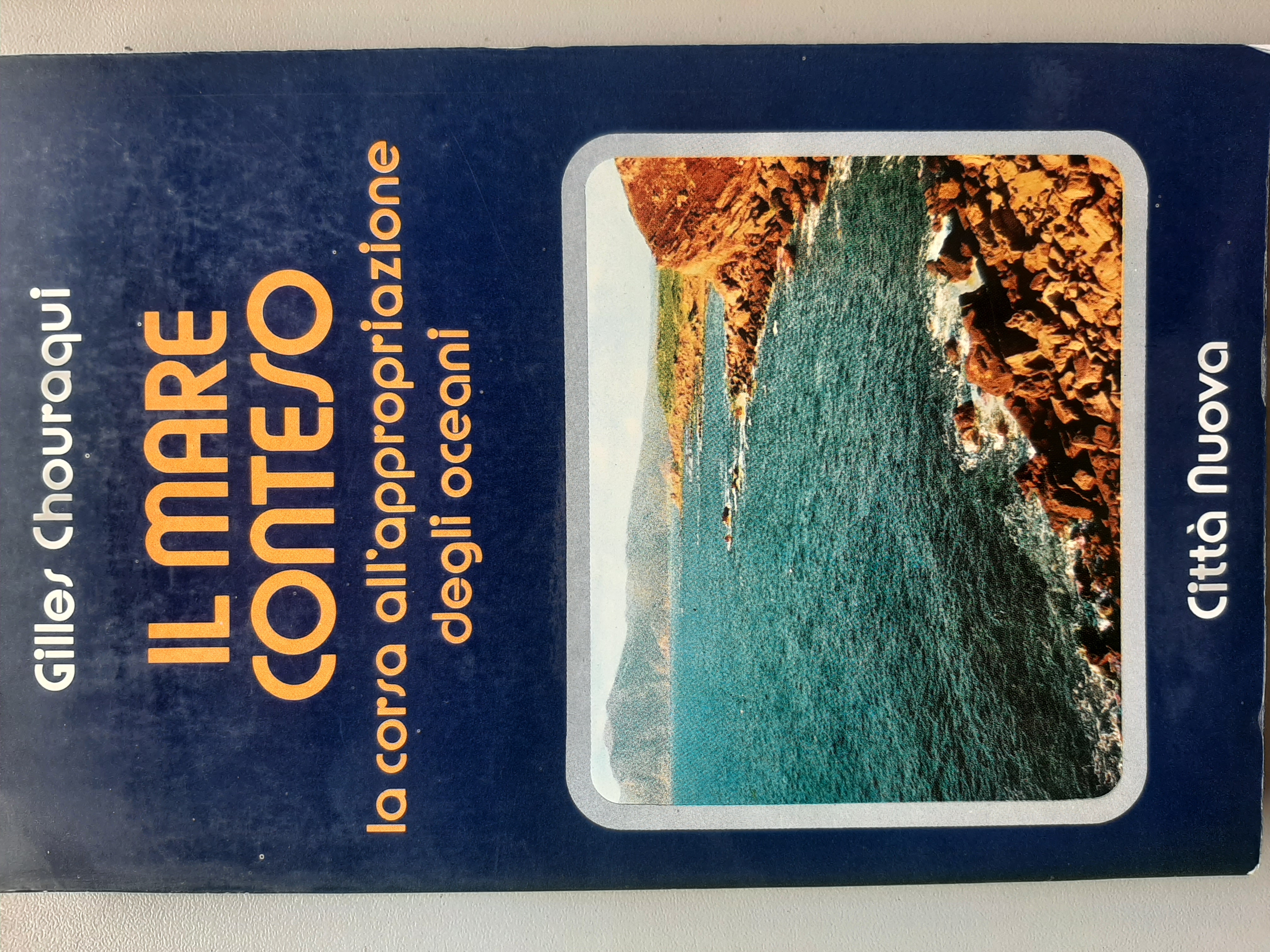 Il mare conteso. La corsa all'appropriazione degli oceani