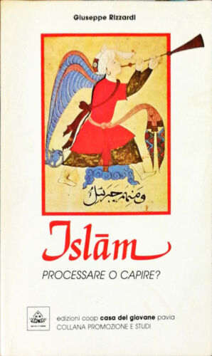 Islam. Processare o capire?