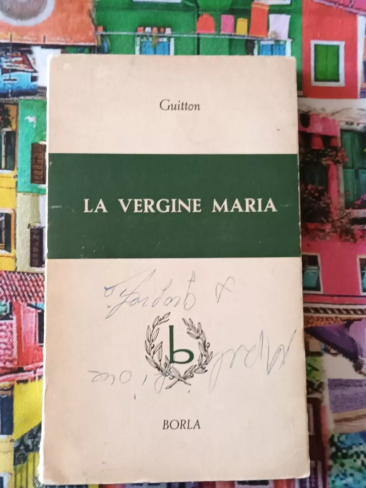 La Vergine Maria.