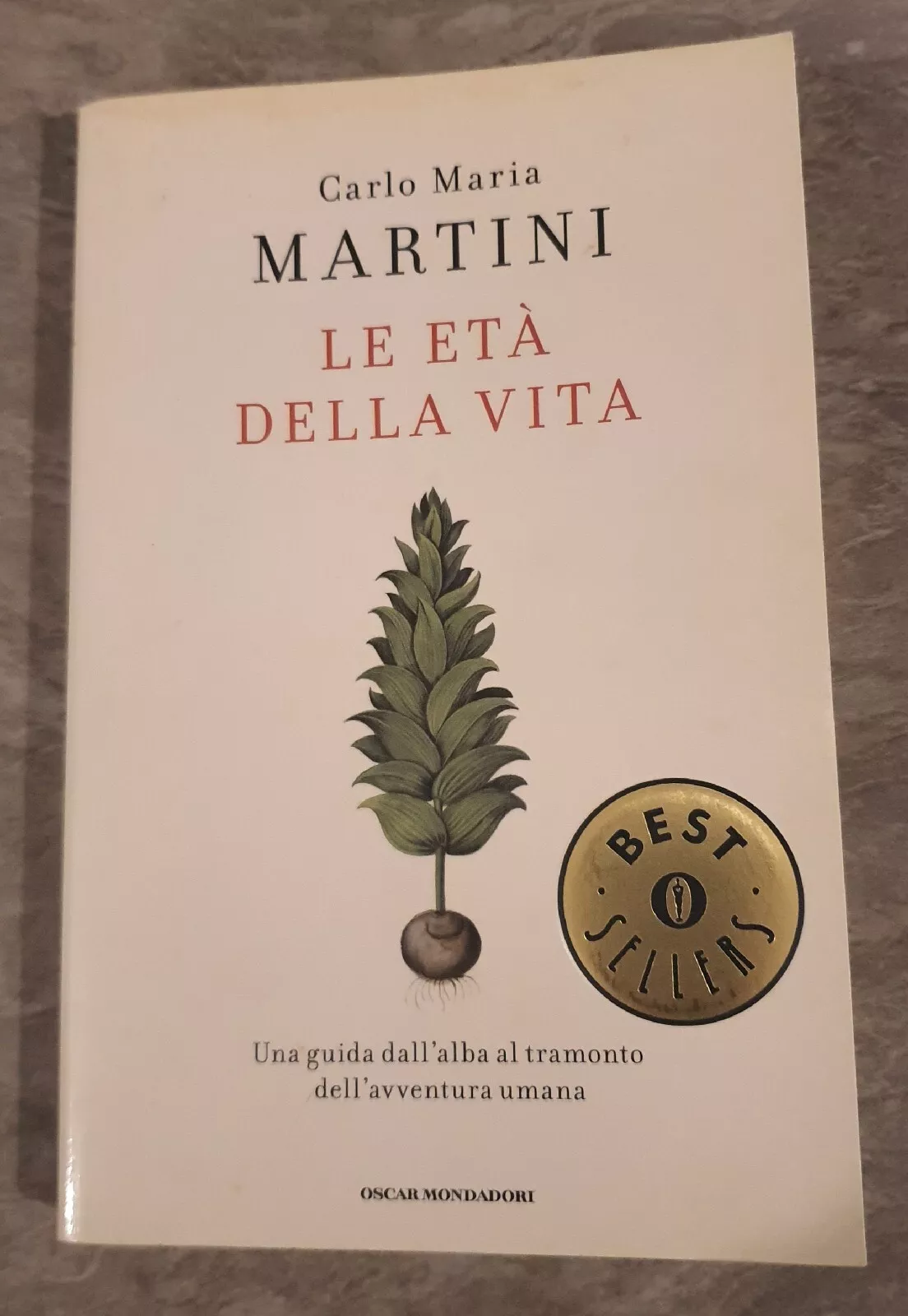 Le età della vita. Una guida dall'alba al tramonto della …