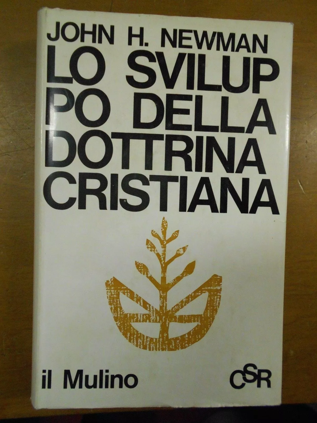 Lo sviluppo della dottrina cristiana