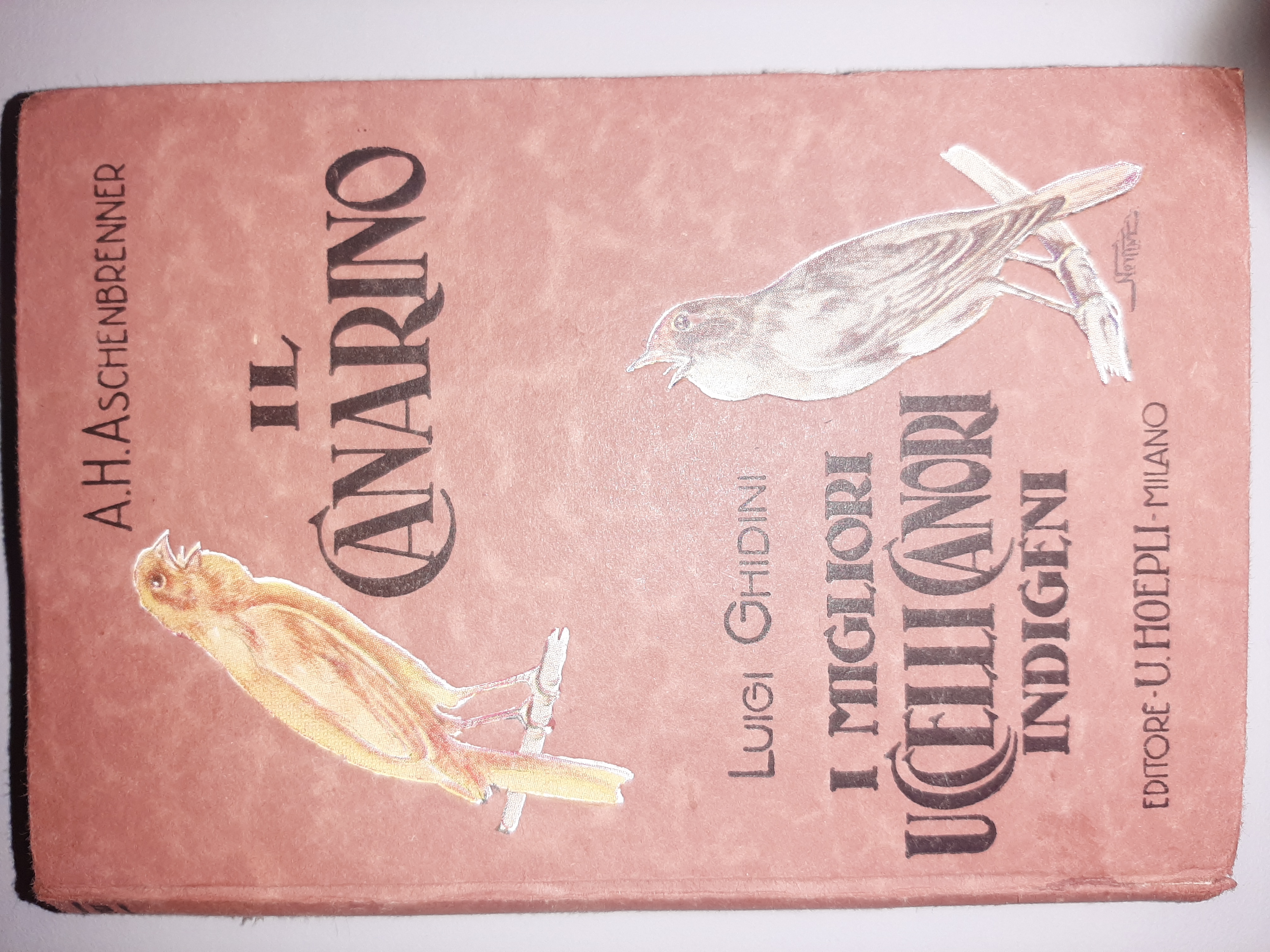 Uccelli canori. Il canarino ed i migliori uccelli canori indigeni …