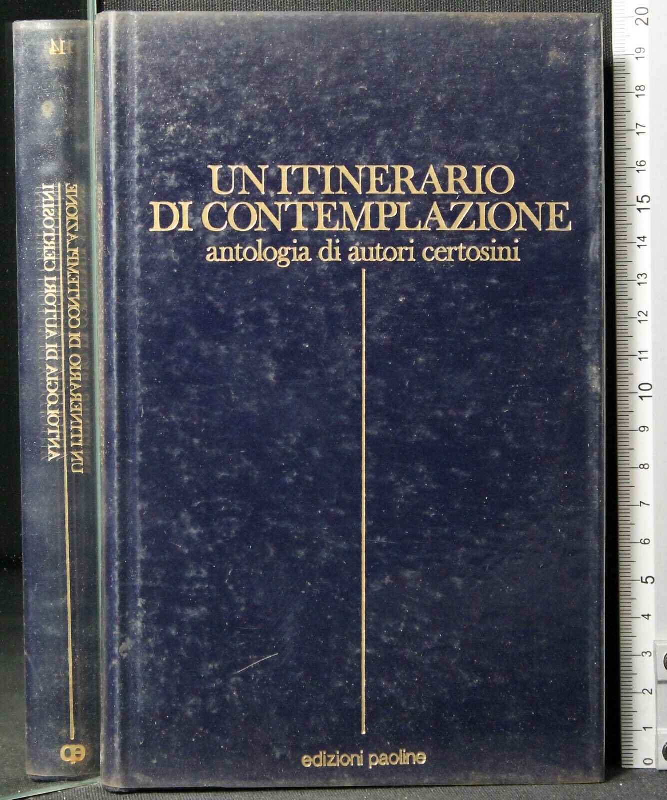 Un itinerario di contemplazione. Antologia di autori certosini