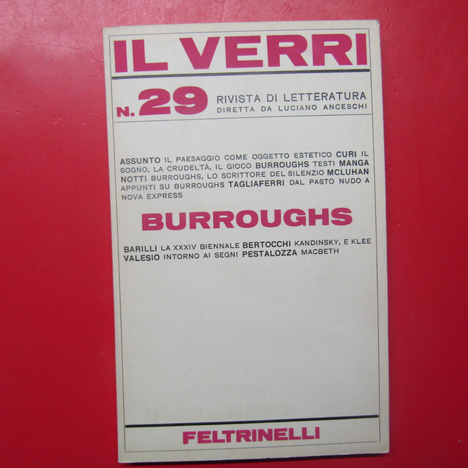 Il Verri N. 29