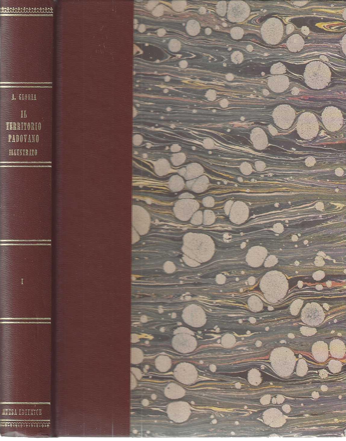 "Il territorio Padovano illustrato"