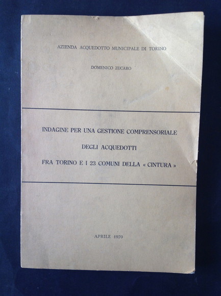 INDAGINE PER UNA GESTIONE COMPRENSORIALE DEGLI ACQUEDOTTI FRA TORINO E …