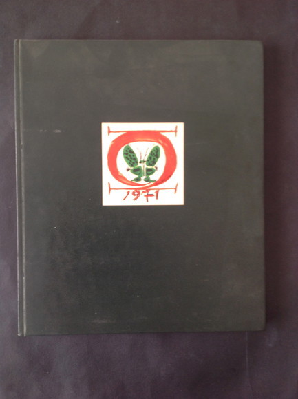 DODICI ACQUERELLI - QUATTRO POESIE PER GRAHAM SUTHERLAND - FOTOGRAFIE …