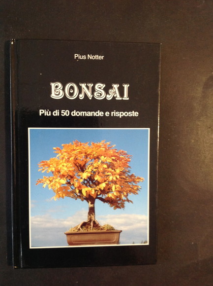 BONSAI PIU' DI 50 DOMANDE E RISPOSTE