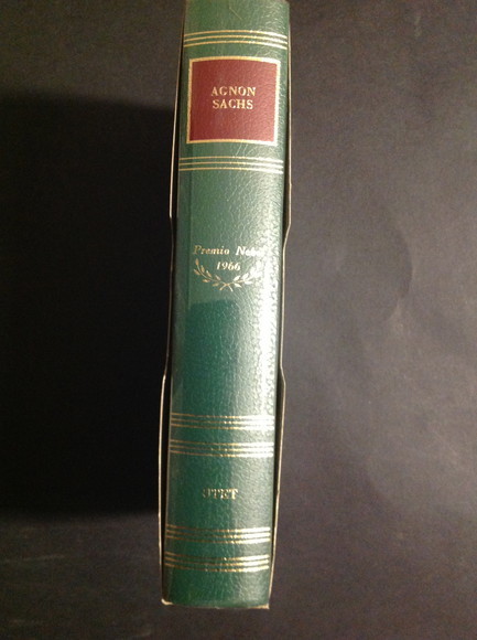 I BUDDENBROOK, TOLSTOJ, R. WAGNER E "L'ANELLO DEL NIBELUNGO", GOETHE …