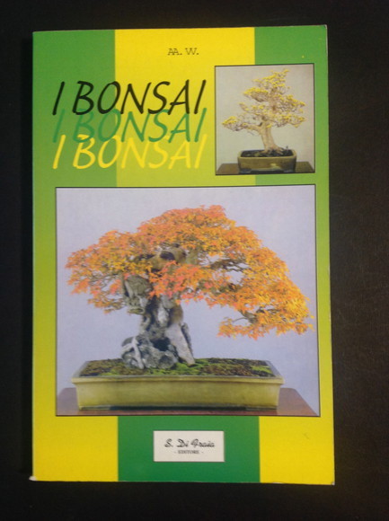 I PIU' BEI BONSAI DEL MONDO