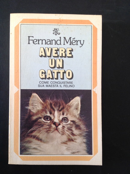 AVERE UN GATTO COME CONQUISTARE SUA MAESTA' IL FELINO