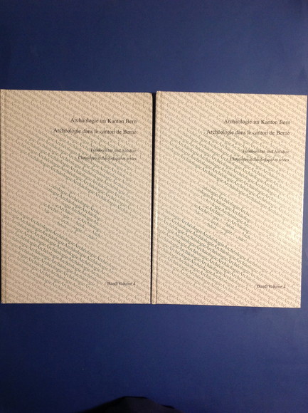 ARCHAOLOGIE IM KANTON BERN / ARCHEOLOGIE DANS LE CANTON DE …