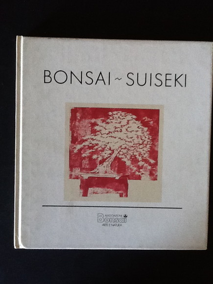 BONSAI SUISEKI. SUGGESTIONI