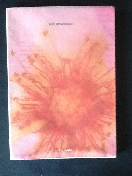 RADU DRAGOMIRESCU. UNA FORTE LUCE ORIZZONTALE SOPRA IL SENTIERO DI …