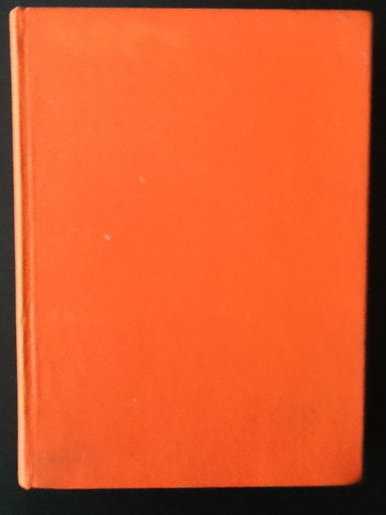 LE NAVI DEI VICHINGHI E ALTRE AVVENTURE ARCHEOLOGICHE NELL'EUROPA PREISTORICA