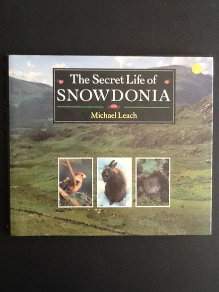 THE SECRET LIFE OF SNOWDONIA