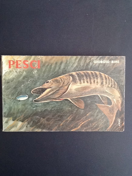 I PESCI DELLE ACQUE INTERNE D'ITALIA