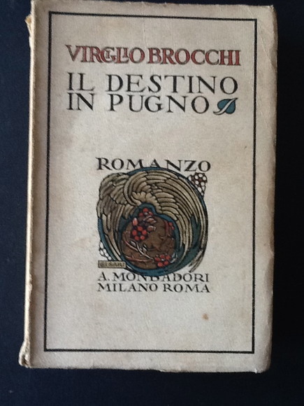 IL DESTINO IN PUGNO