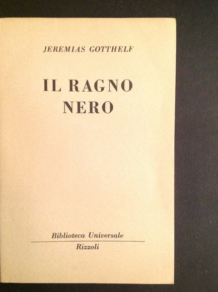 IL RAGNO NERO