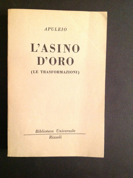 L'ASINO D'ORO (LE TRASFORMAZIONI)