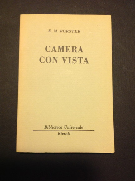 CAMERA CON VISTA