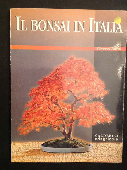 IL BONSAI IN ITALIA
