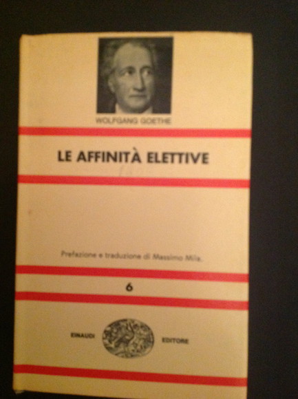 LE AFFINITA' ELETTIVE